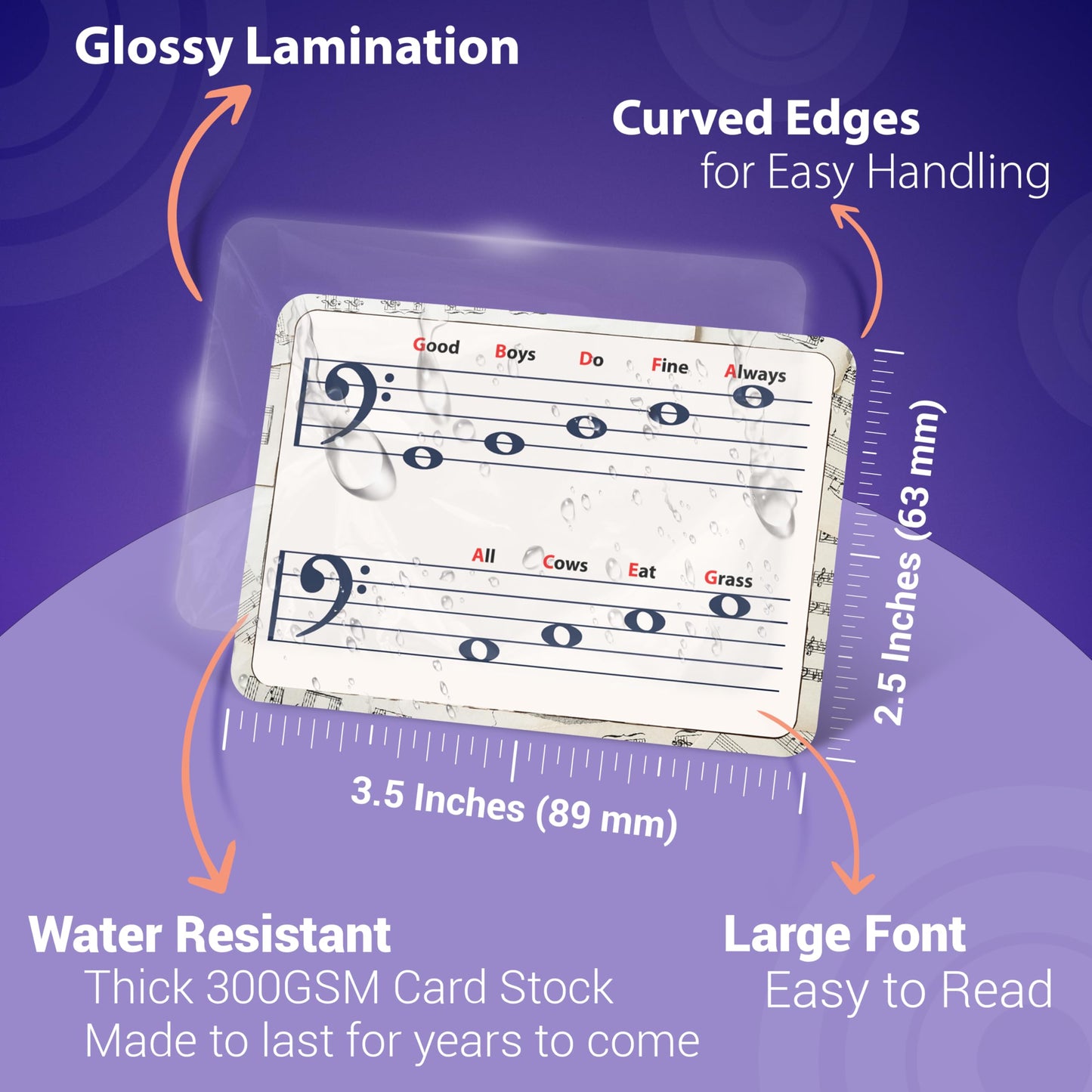 Beginner Musicians Flashcards for learning basic music theory and notes.