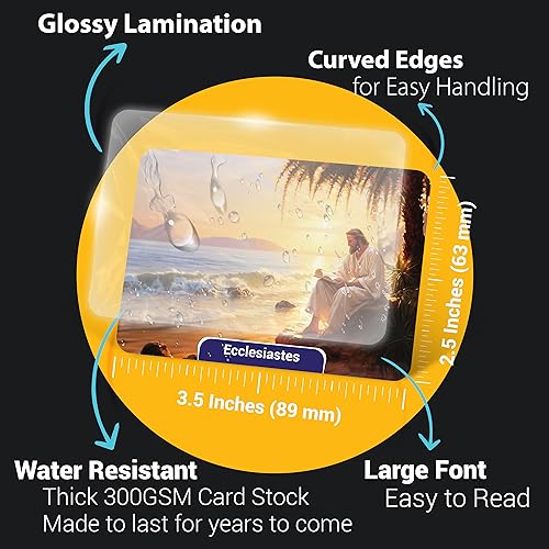 Books of The Bible Flash Cards featuring all Bible books, organized for easy learning and memorization, with clear text and colorful design.