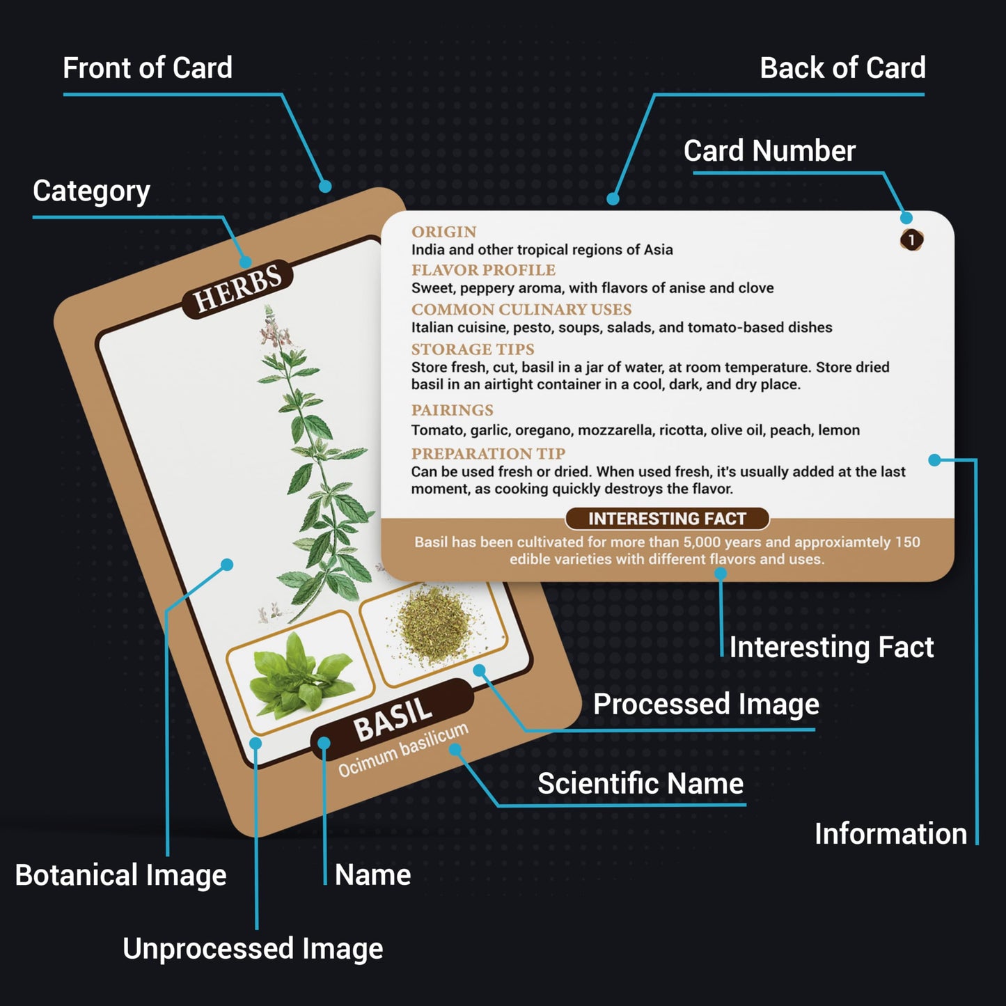 Herbs & Spices Flash Cards featuring 75 cards with global herbs and spices, including origins, uses, and pairings, designed to enhance culinary skills and inspire creativity in the kitchen.