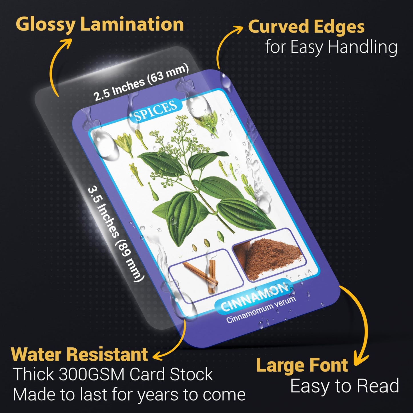 Herbs & Spices Flash Cards featuring 75 cards with global herbs and spices, including origins, uses, and pairings, designed to enhance culinary skills and inspire creativity in the kitchen.