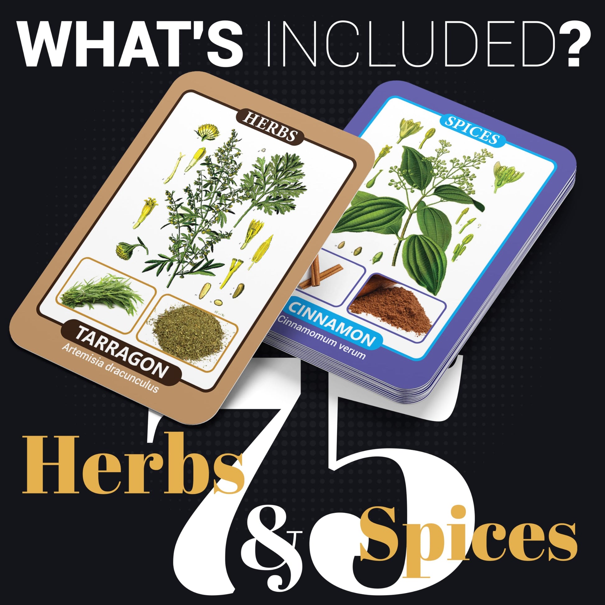 Herbs & Spices Flash Cards featuring 75 cards with global herbs and spices, including origins, uses, and pairings, designed to enhance culinary skills and inspire creativity in the kitchen.