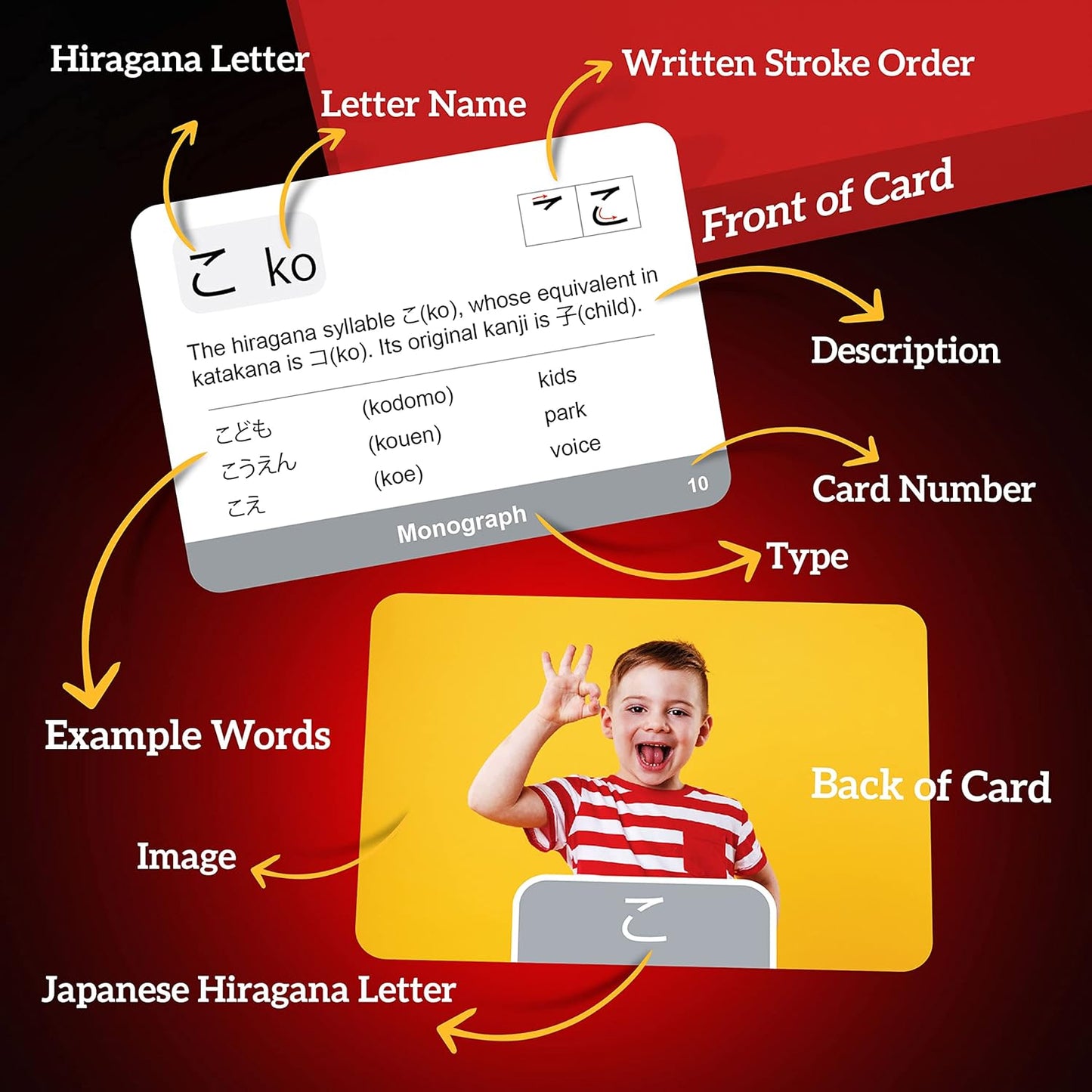 Image showing a set of Japanese syllabary Hiragana flashcards neatly arranged. Each card displays a single Hiragana character with its corresponding Romanized pronunciation below. The cards have a minimalistic design with clear, bold characters, perfect for language learners.