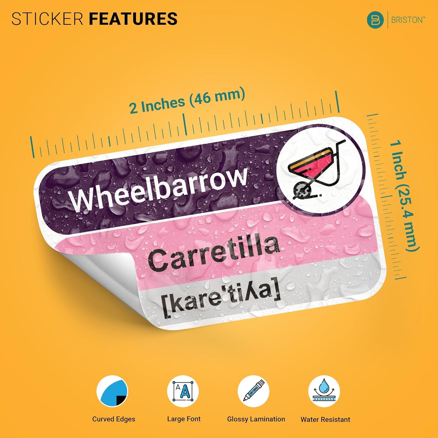 Spanish Vocabulary Sticker Labels – Fun & Interactive Language Learning Tool for Kids & Adults – Sight Word Practice & Memory Aid for Home, Classroom & Homeschool