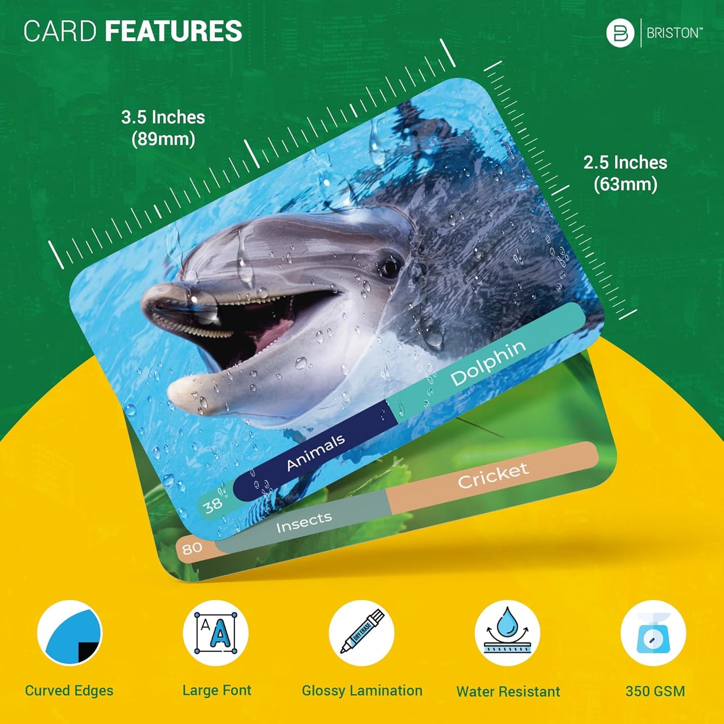 Spanish vocabulary flashcards for kids – Educational language learning cards with colorful illustrations, perfect for beginners, classrooms, and homeschool use.