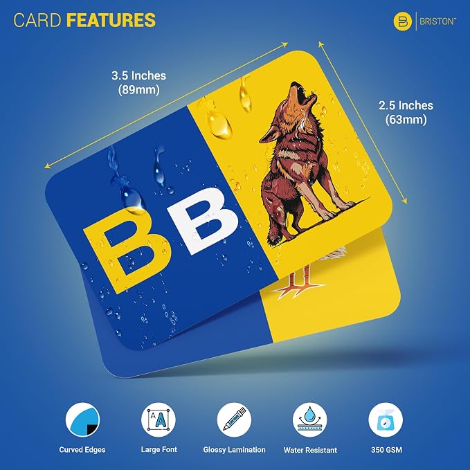 Ukrainian Alphabet Flash Cards – 34 Cards with IPA & Stroke Order Guide