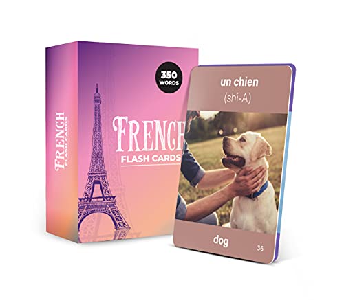 350 French Vocabulary Flash Cards – Educational Language Learning Resource with Pictures for Memory & Sight Words - Fun Game Play - Grade School, Classroom, or Homeschool Supplies – Briston Brand