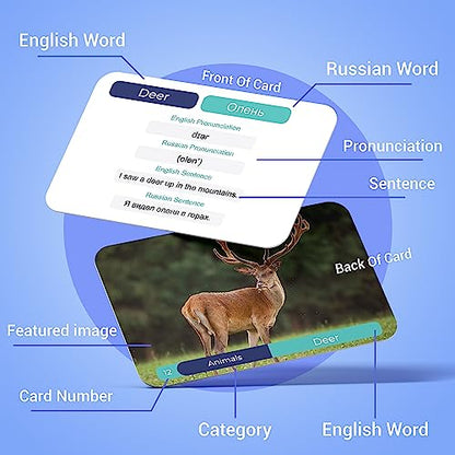 Briston Russian Alphabet Flashcards: Unlock the Path to Language Mastery