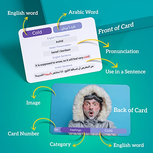 Arabic Language Cards