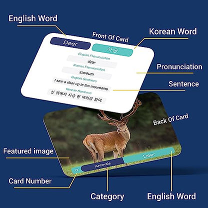 Korean Language Cards