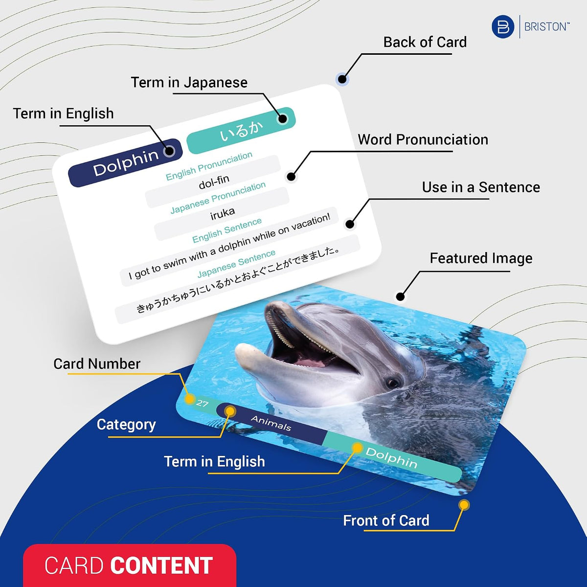 Japanese Vocabulary Flash Cards with Audio – 300 Essential Words