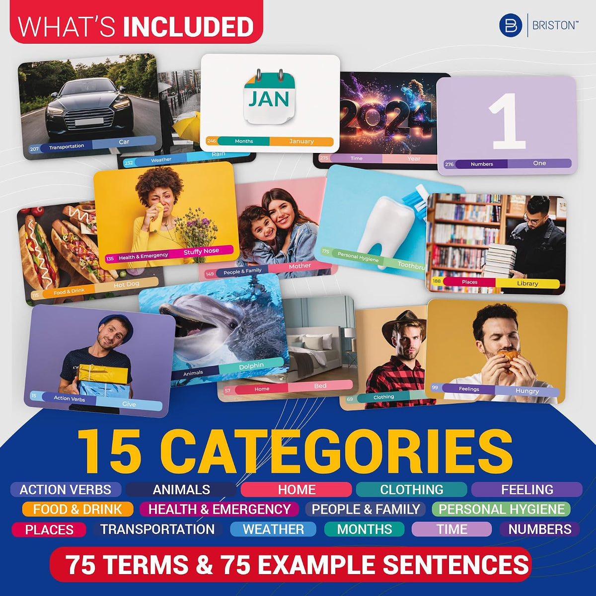 Japanese Vocabulary Flash Cards with Audio – 300 Essential Words
