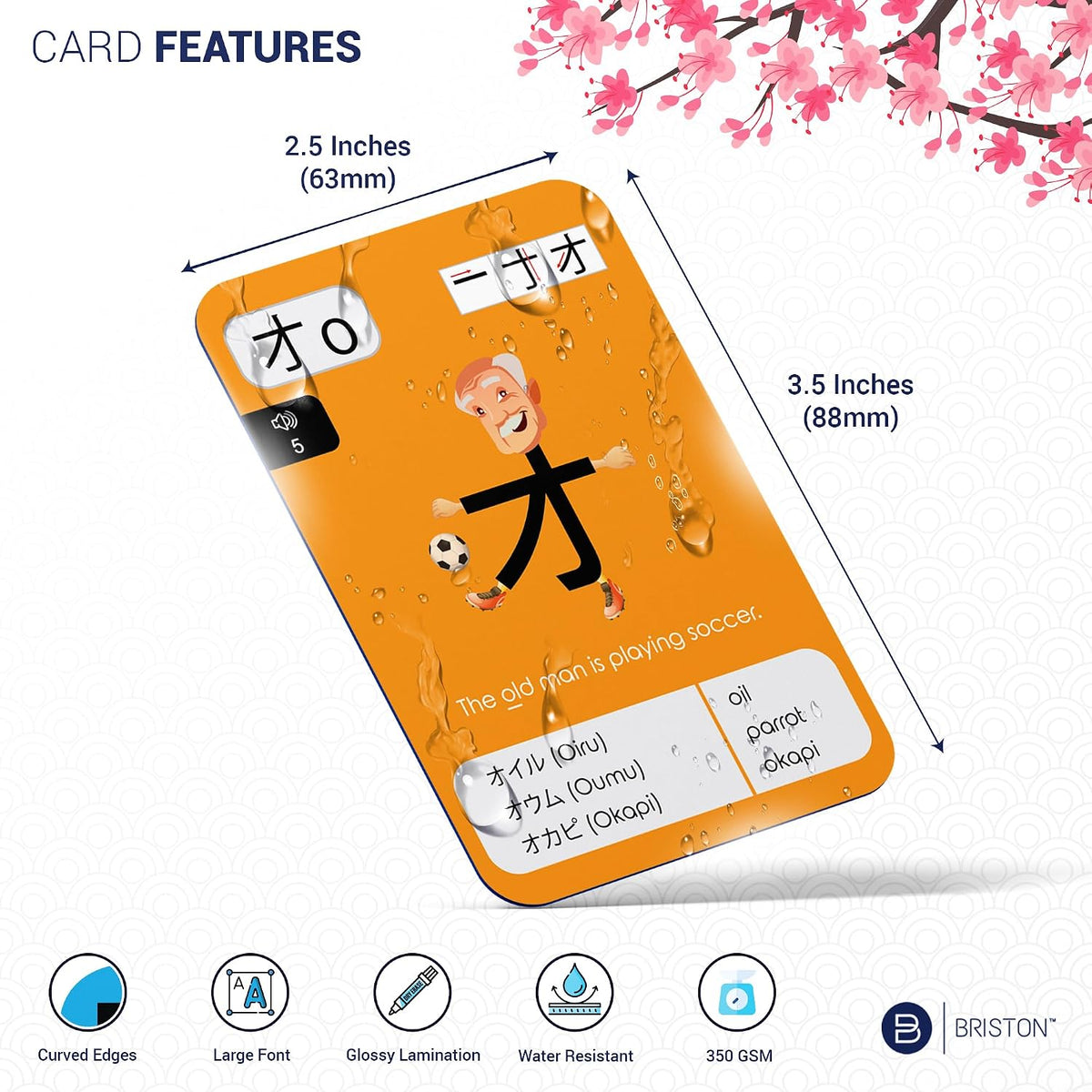Japanese Hiragana & Katakana Flash Cards with Audio – 46 Cards