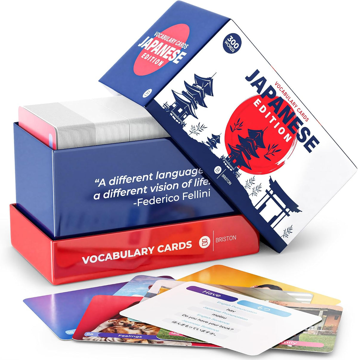 Japanese Vocabulary Flash Cards with Audio – 300 Essential Words